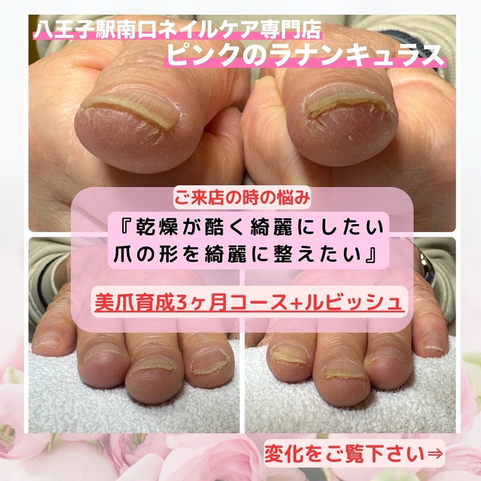 画像240