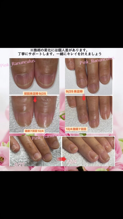 画像246