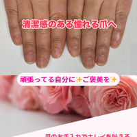 画像253