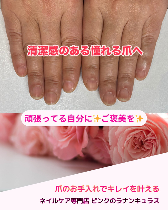 画像253