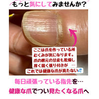 画像254
