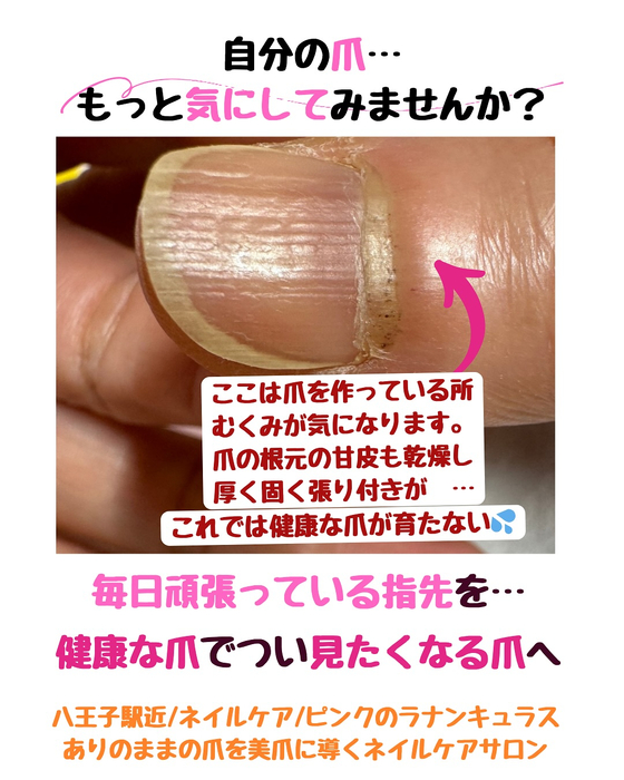 画像254