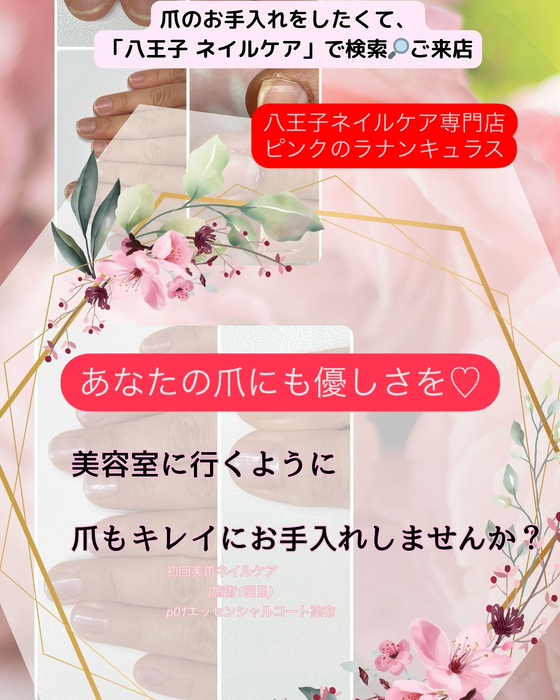 画像259