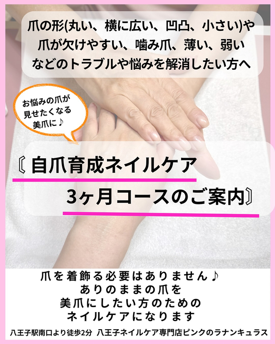 画像276