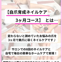 画像277